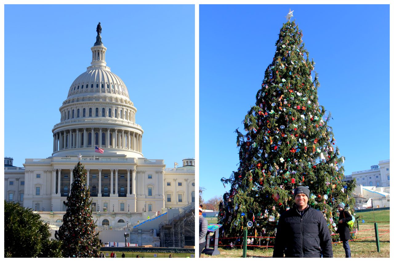 Playing with my Brother in DC
