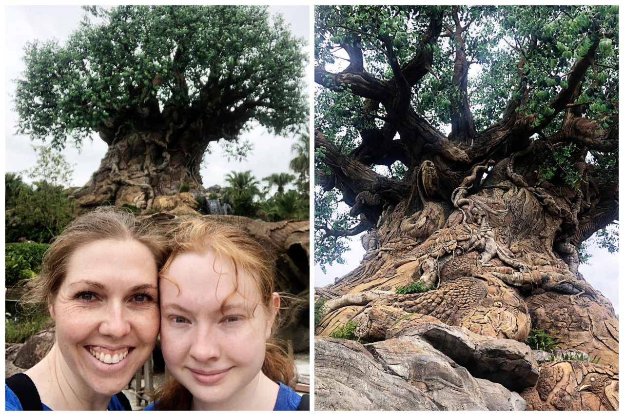 Lily’s Senior Trip Disney Adventure – Day 3