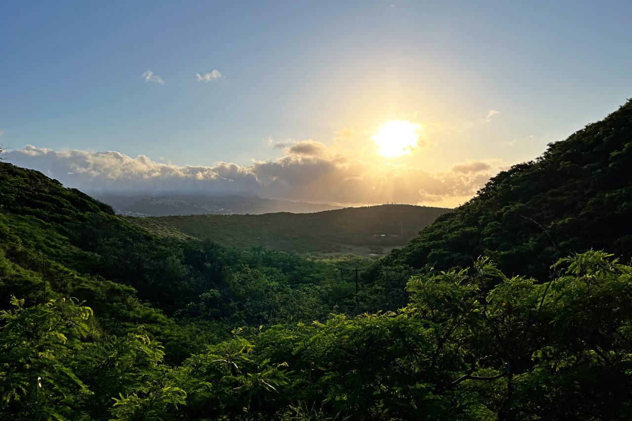 Escape to Hawaii: Part 3