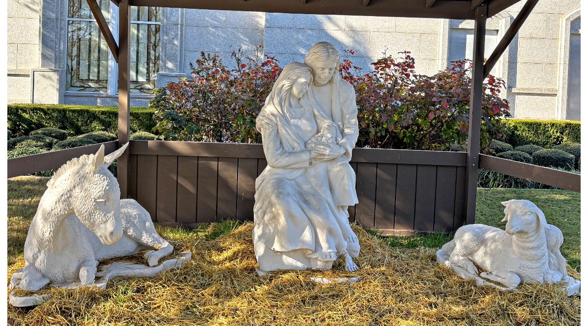 The Second Week of Christmas